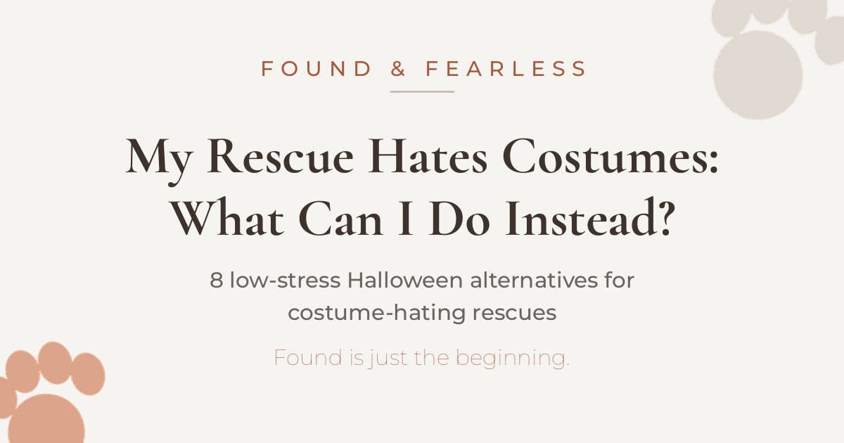 My Rescue Hates Costumes — What Can I Do Instead?