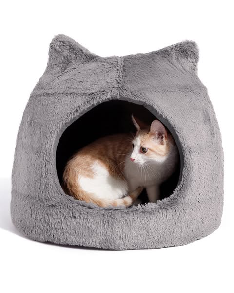 Sheri Meow Hut